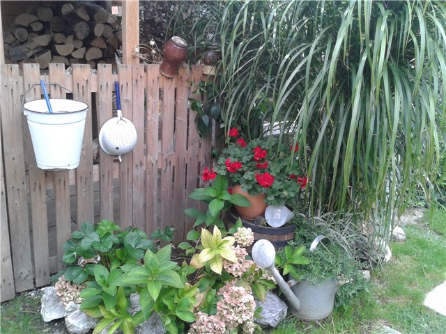 Moj vrt